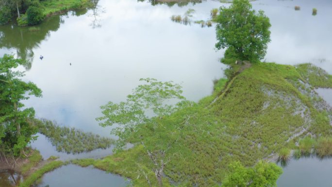 俄贤岭乡村风光云雾山湿地风光6