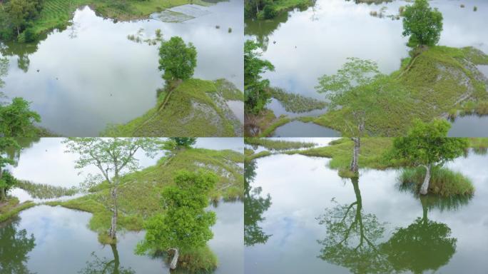 俄贤岭乡村风光云雾山湿地风光6