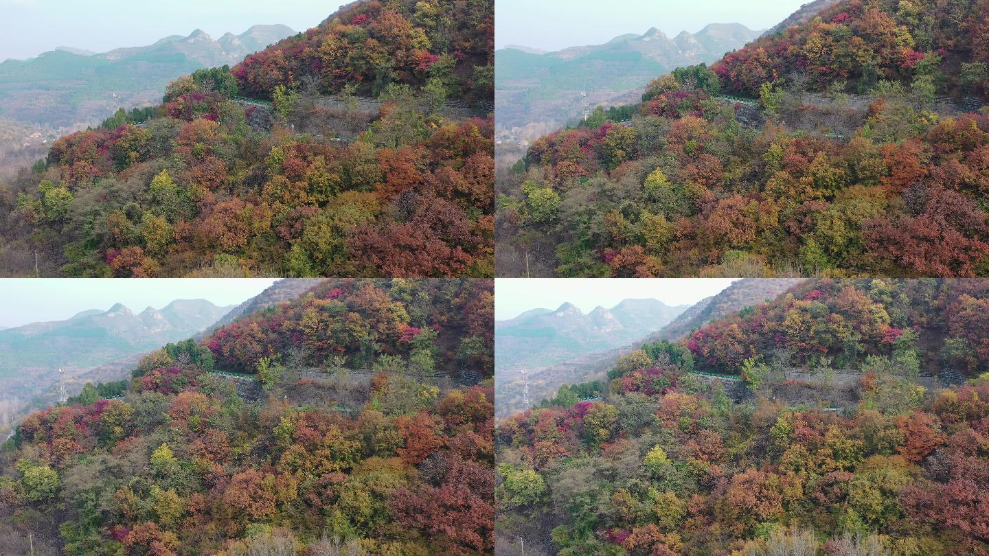 山东青州市仰天山森林公园秋季风光