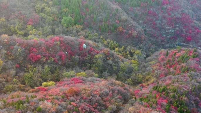 山东青州市仰天山秋季风光