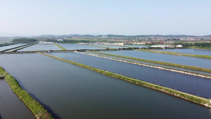 虾圈 海参圈 航拍 水产 养殖 海鲜