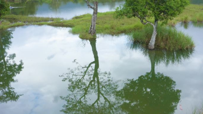 俄贤岭乡村风光云雾山湿地风光5