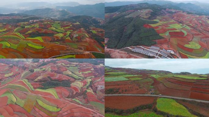 红土地视频中国云南东川红色耕地梯田