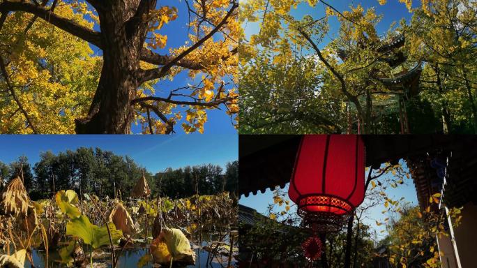 秋天里的昆明翠湖公园