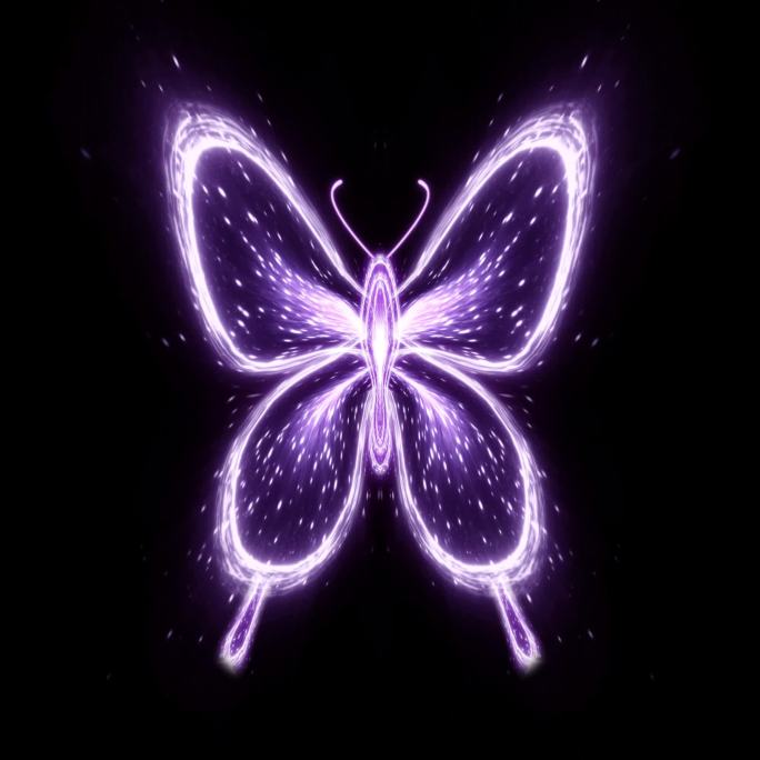 紫色粒子抽象蝴蝶
