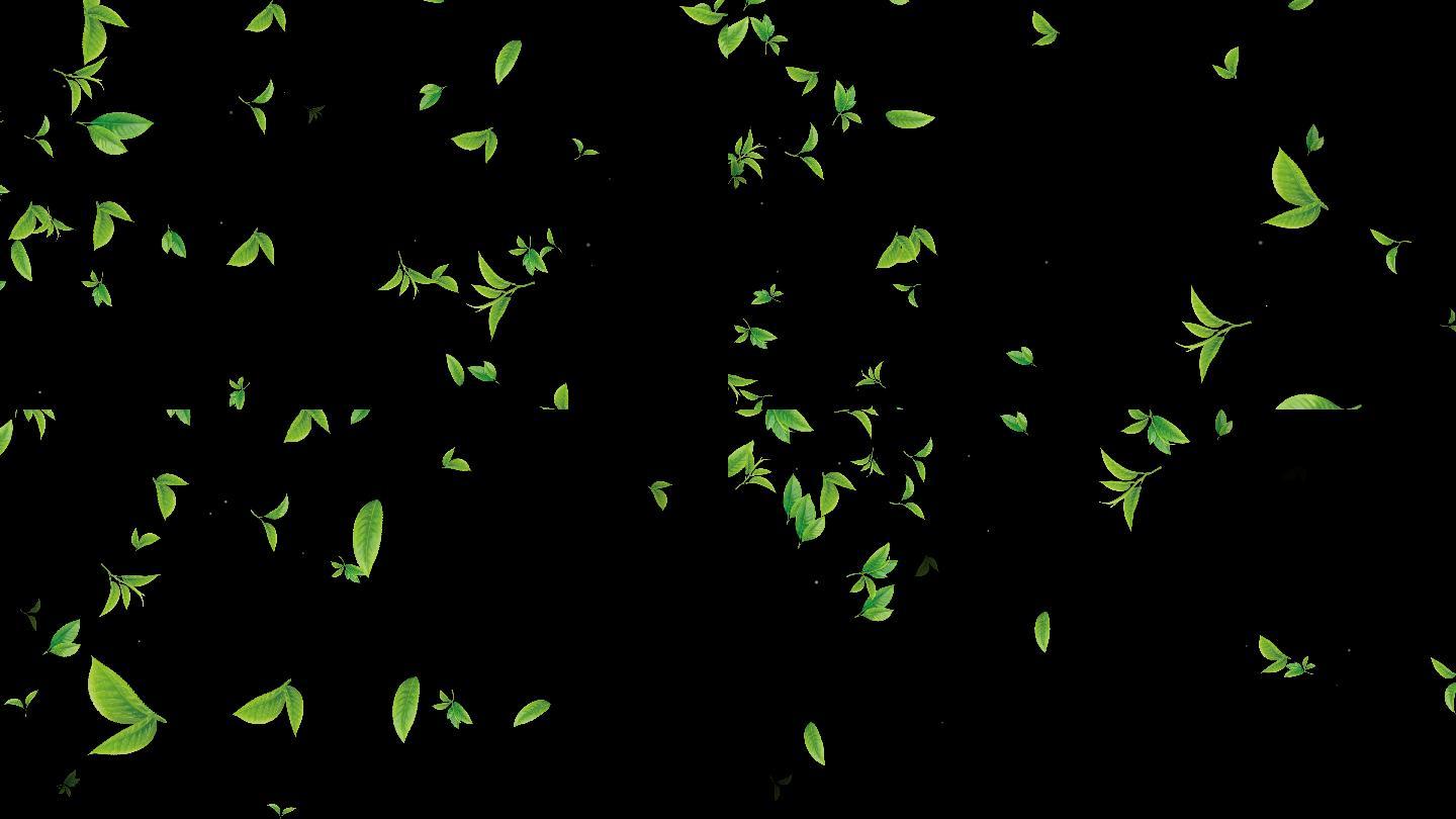 茶叶绿叶嫩芽飘落前景视频——无缝循环
