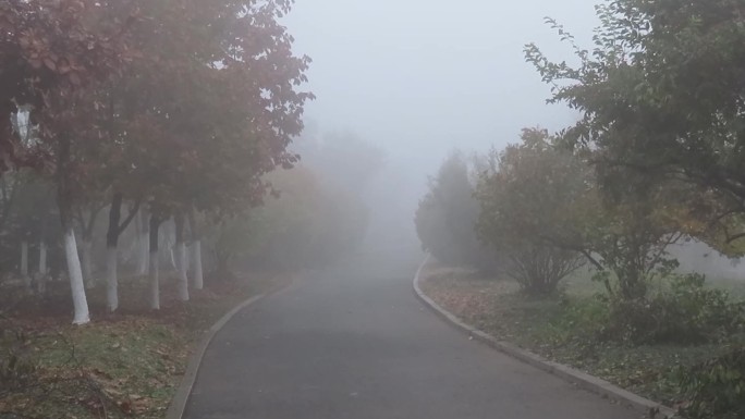 公园秋雾