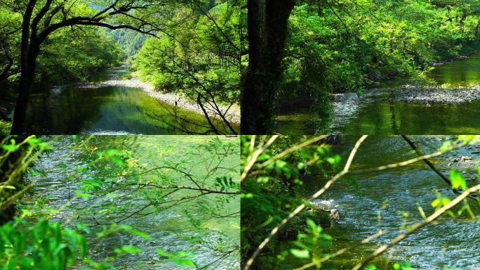 小桥流水 山间静谧流水