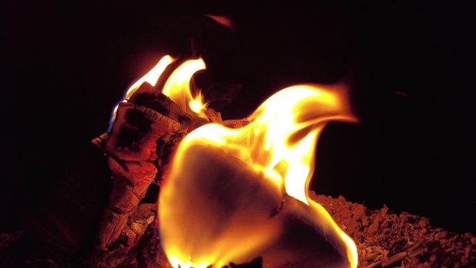 燃烧的木头木炭火苗