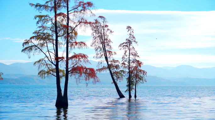 大理洱海美景-自然风光-苍山洱海云南风景