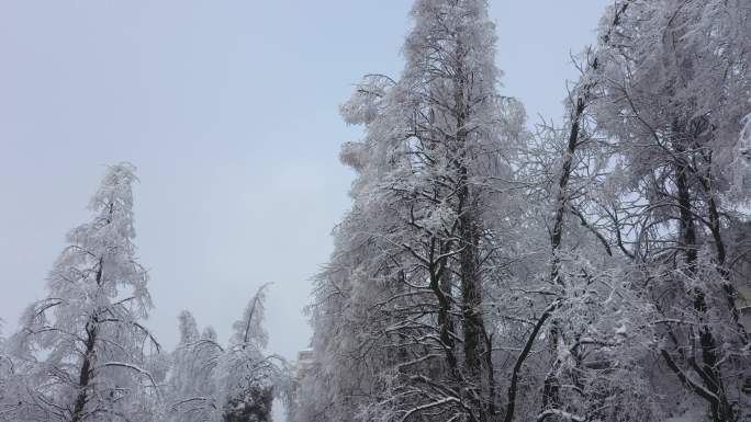 航拍雪后的鸡公山雪树银装素裹