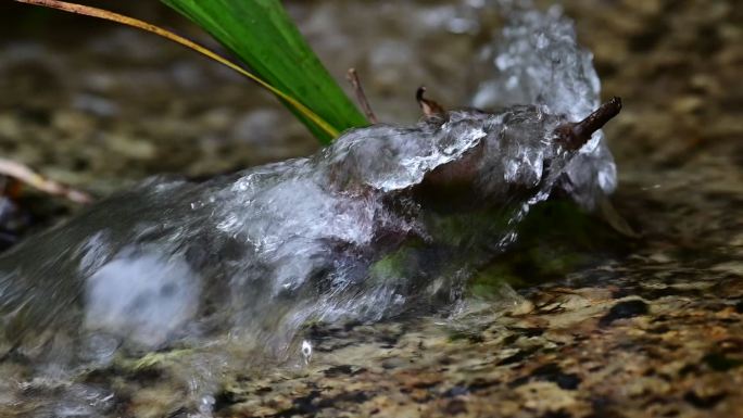 河流溪流泉水溪水