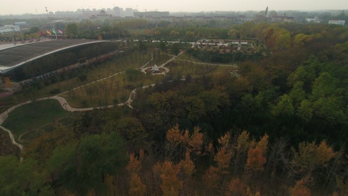 许昌中原花木博览园植被树木环境航拍