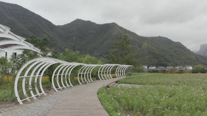 仙居神仙居旅游度假区紫色花海风光4K航拍