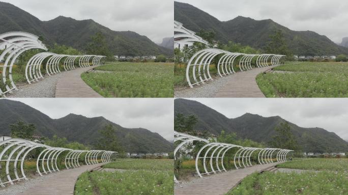 仙居神仙居旅游度假区紫色花海风光4K航拍