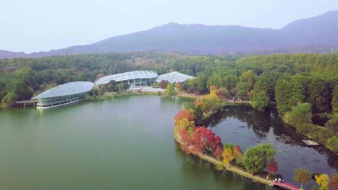 南京秋季前湖公园植物园航拍