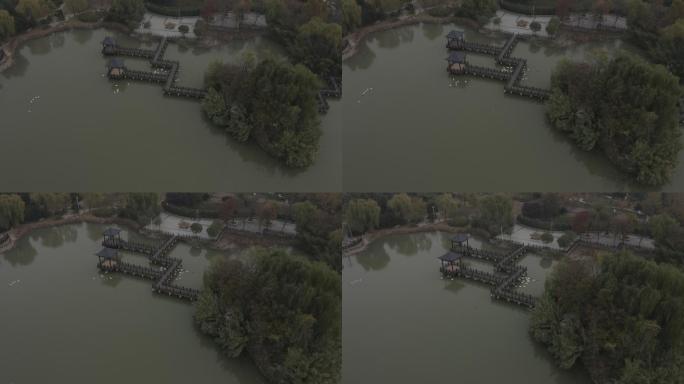 许昌中原花木博览园植被桥下游过的鸭子航拍