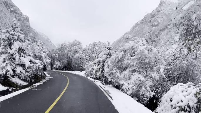 下雪公路银装素裹实拍视频素材