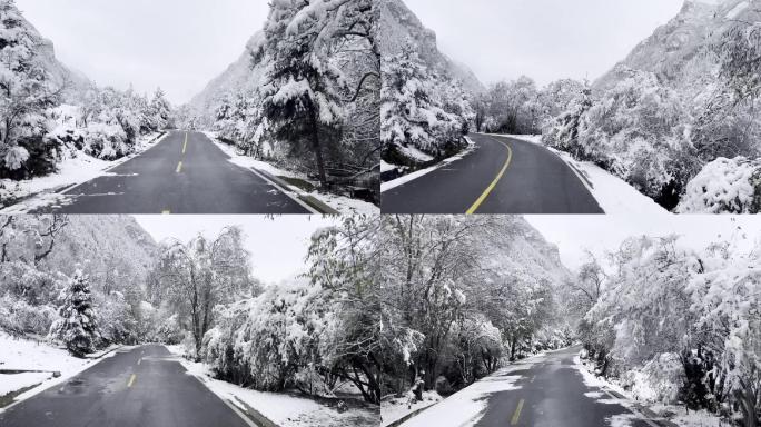 下雪公路银装素裹实拍视频素材