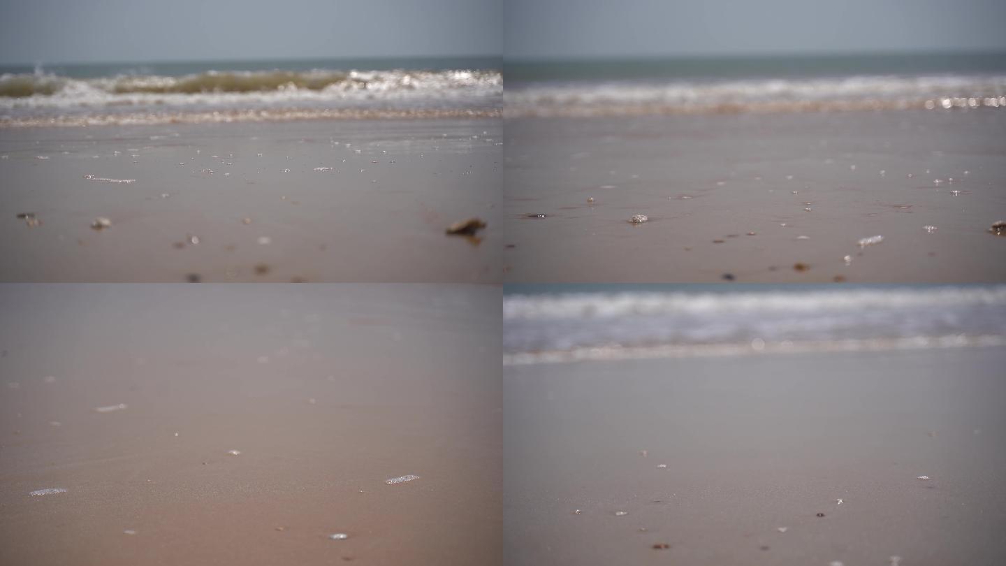 海浪沙滩贝壳