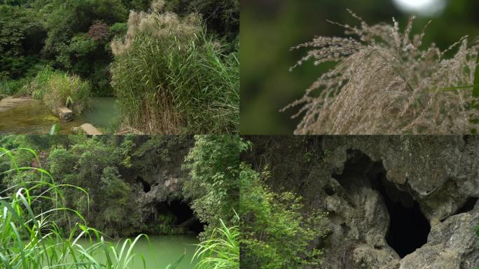 芦苇山间小洞