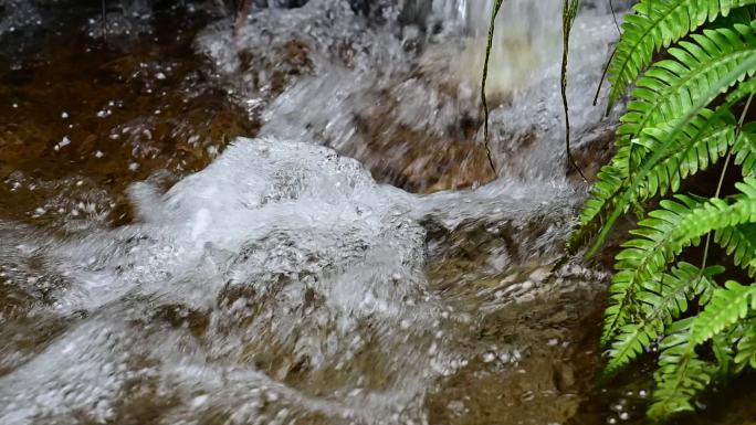 泉水溪水山间溪流