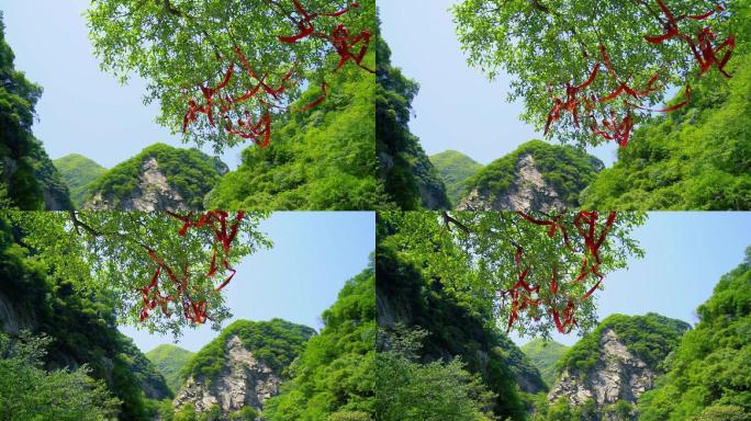 乡村振兴 秦岭自然风景空镜