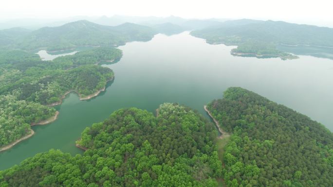 航拍薄山湖绿树绿水