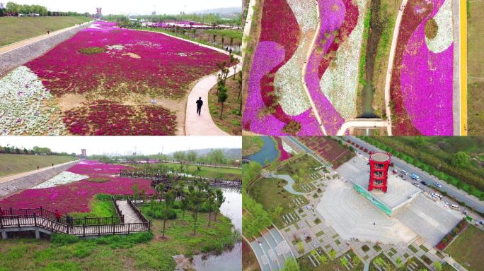 宝鸡陈仓河堤芝樱花海湿地公园