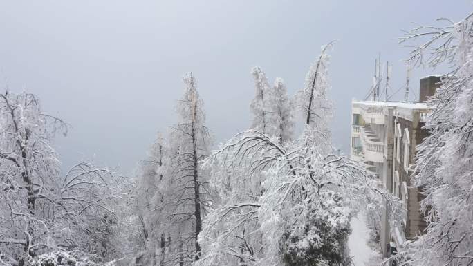 航拍雪后的鸡公山雪树银装素裹