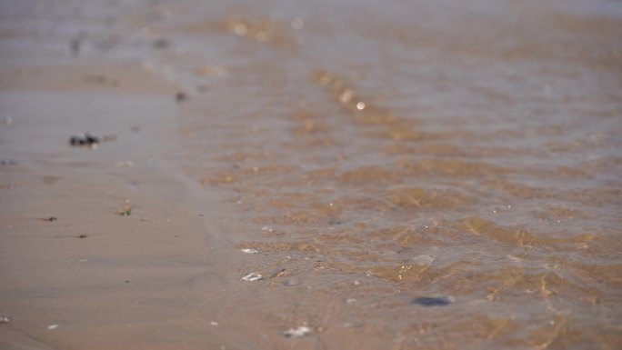海浪沙滩贝壳