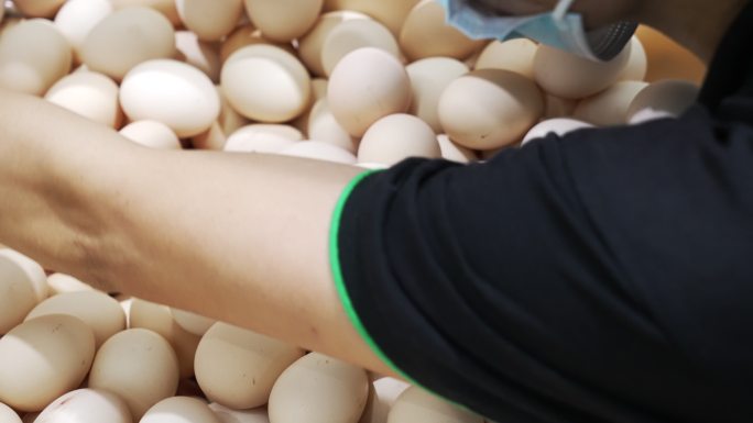 售货员在超市整理鸡蛋