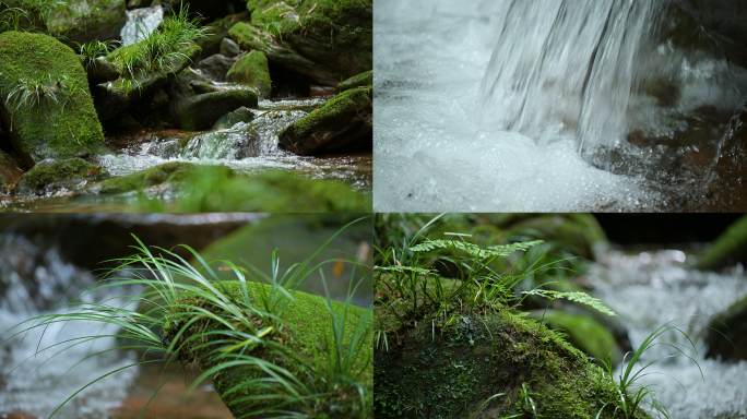 唯美大自然溪流苔藓绿植清澈山泉自然生态