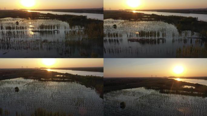 山东济南：航拍黄河湿地落日