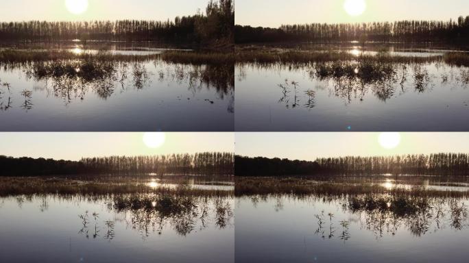 山东济南：黄河湿地