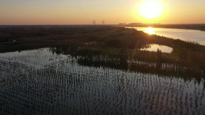 山东济南：航拍黄河湿地落日