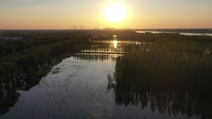 山东济南：航拍黄河湿地落日