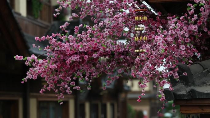 雨中的古镇桃花