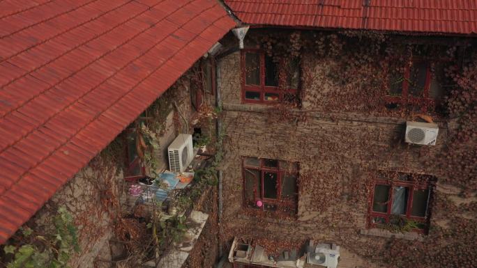郑州国棉厂老房子墙壁上的爬山虎