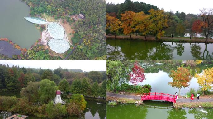 南京中山植物园南园