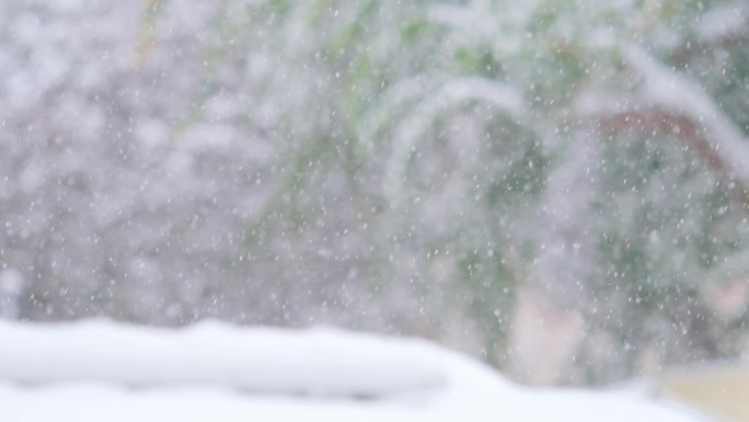 雪花飘落特写