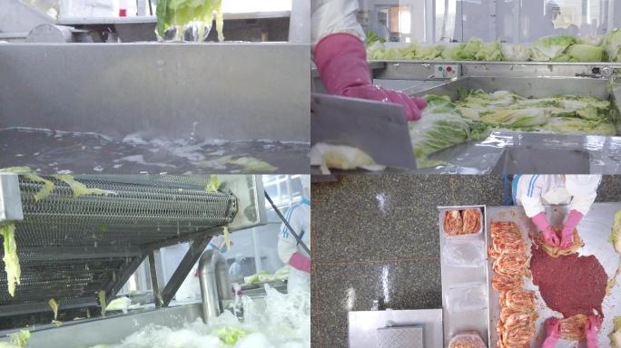 菜酱蔬菜智能生产流程流水线升格素材4k