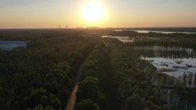 山东济南：航拍黄河湿地落日