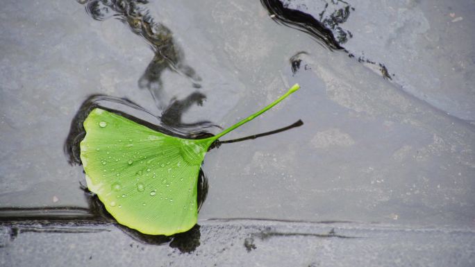 美丽的中式园林雨景