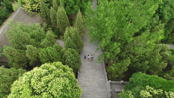 嵩阳书院石阶路