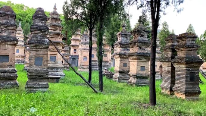 嵩山少林寺少林寺塔林少林寺旅游景区塔林