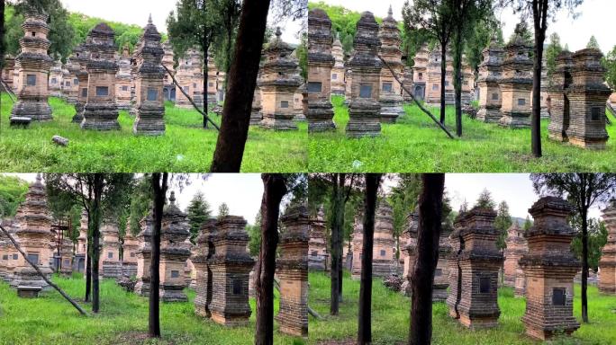 嵩山少林寺少林寺塔林少林寺旅游景区塔林