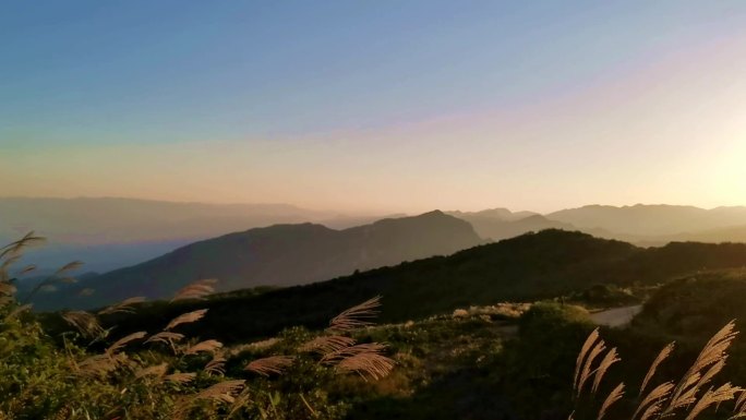 朝阳山岭层叠风吹芦花摇曳