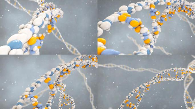 DNA双螺旋结构三维动画视频素材