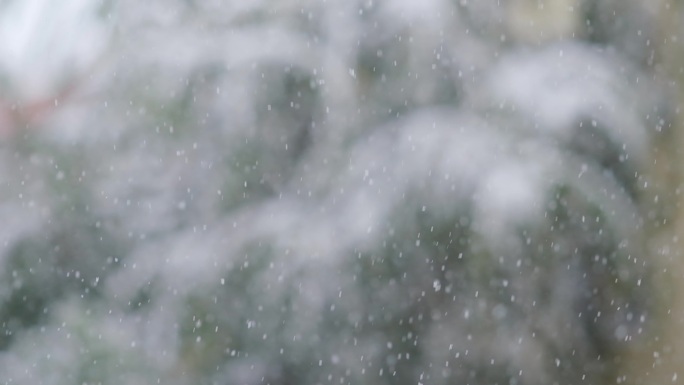 立冬-雪花缓缓飘落特写